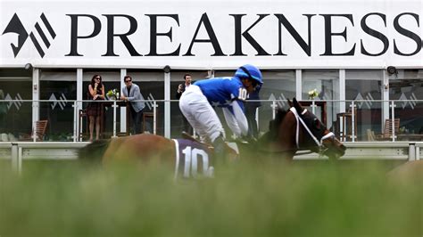 emirates stakes horses|Emirates Stakes Betting 2024: Tips, Odds & Results.